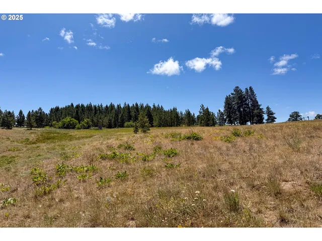 $35,000 | 4143200000700 4143200000700th, Lyle, WA 98635