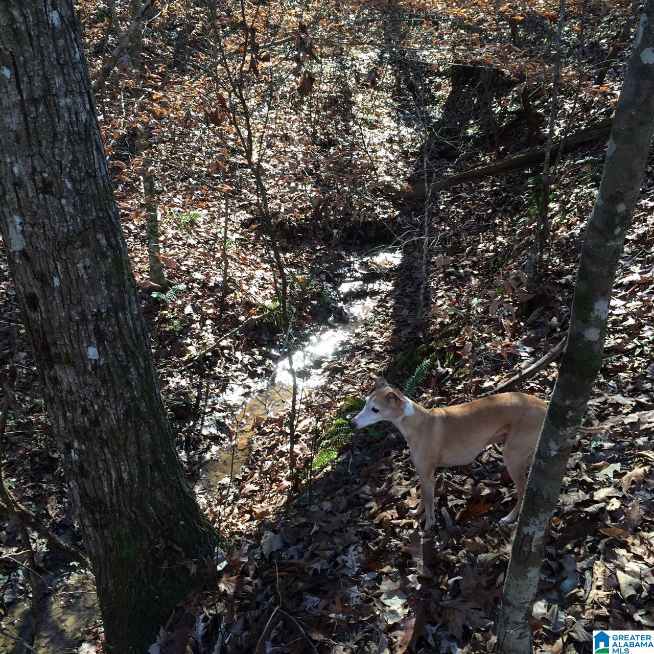0 Us Highway, Unit 1 Ragland, AL 35131 - Photo 3 of 9