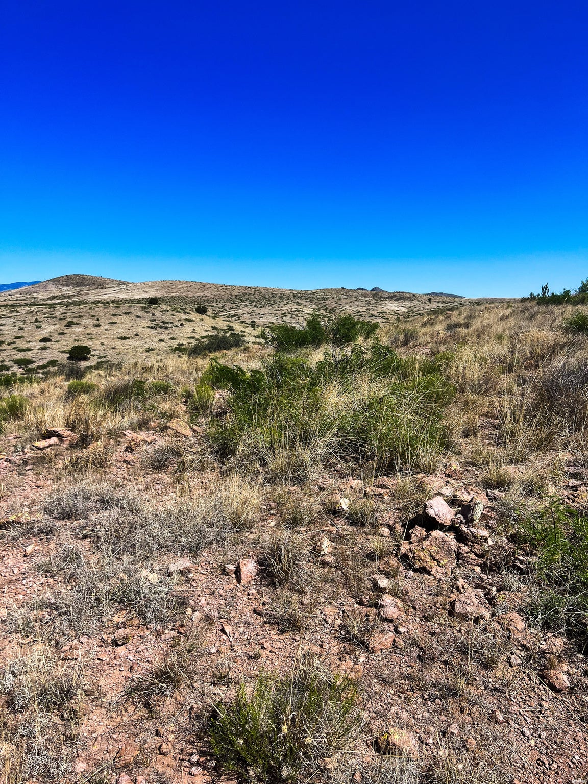 81 Berrenda Road Hillsboro, NM 88042 - Photo 9 of 52 Gallery Image 9