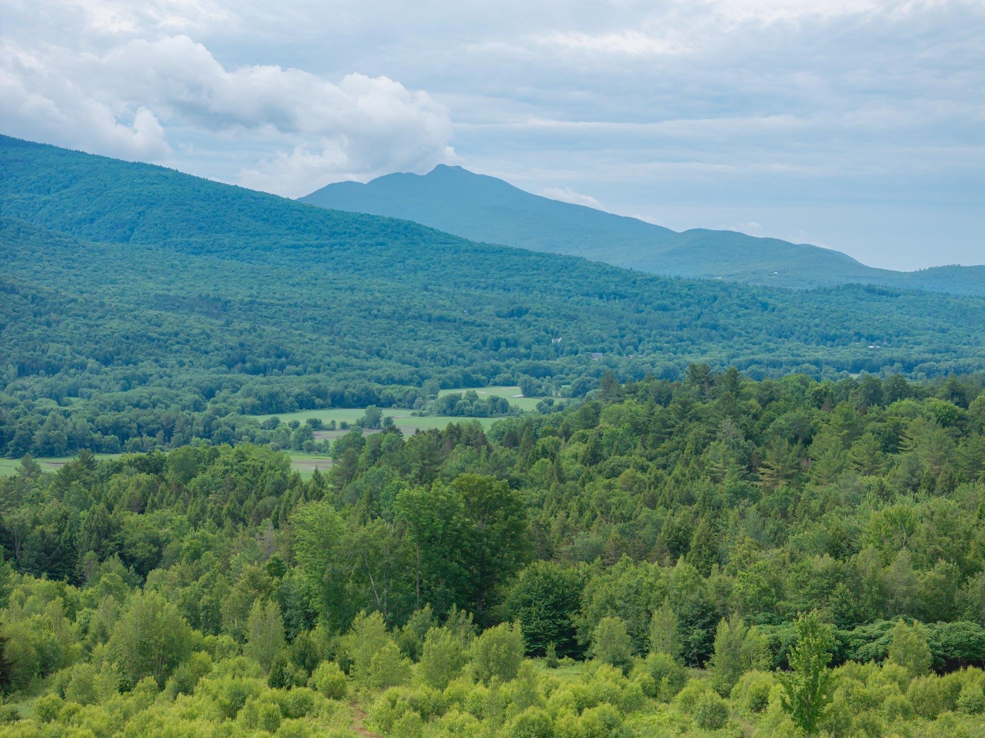 0 Birch Tree Lane, Unit LOT 2 Waterville, VT 05492 - Photo 7 of 7