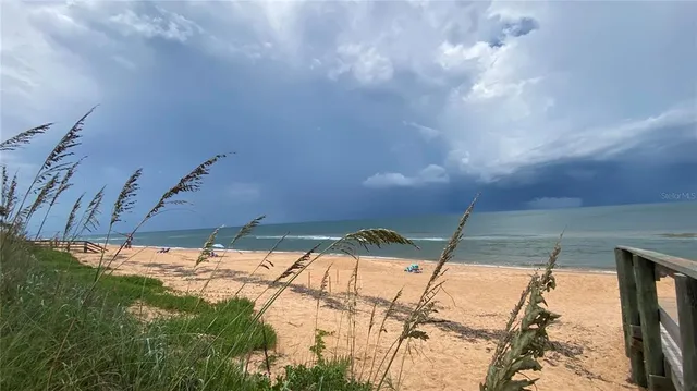 a view of a house with a yard potted plants and a large tree