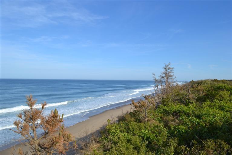 160 Nauset Light Beach Road Eastham, MA 02642 - Photo 2 of 22 Additional Photo