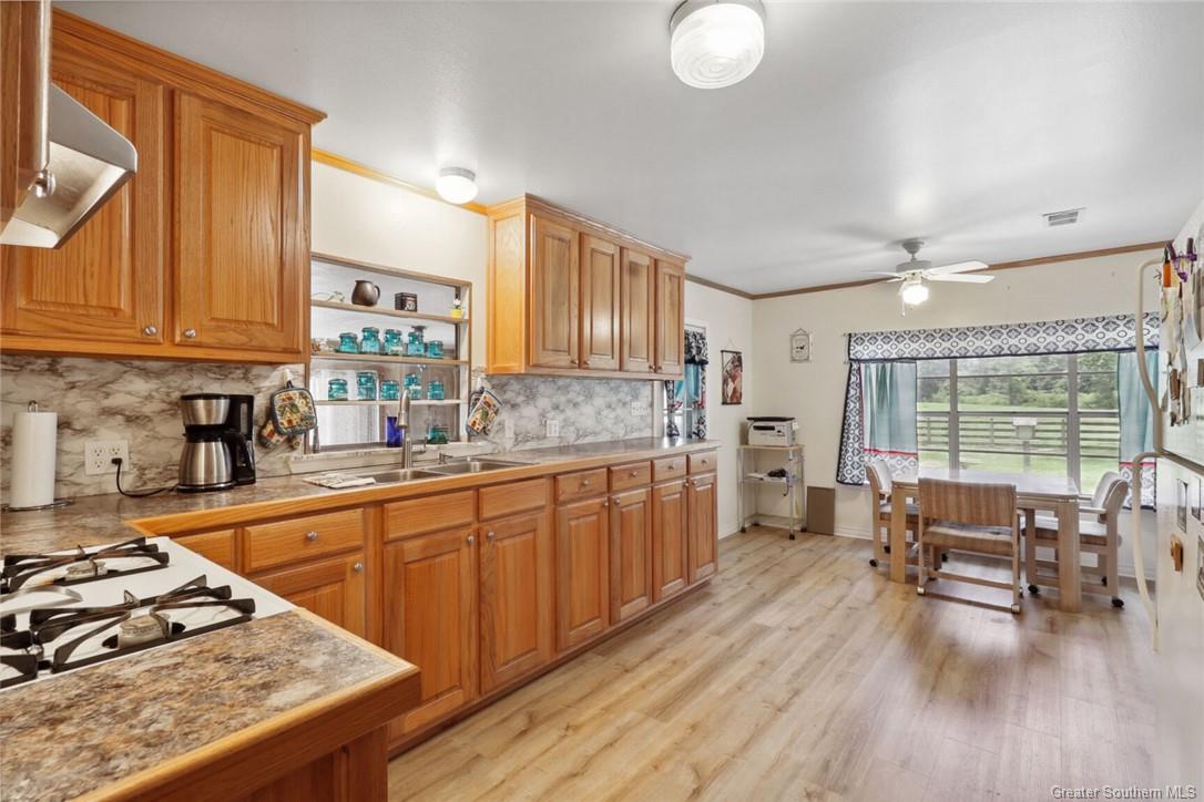 41484 River Road Ponchatoula, LA 70454 - Photo 4 of 12 Gallery Image 4