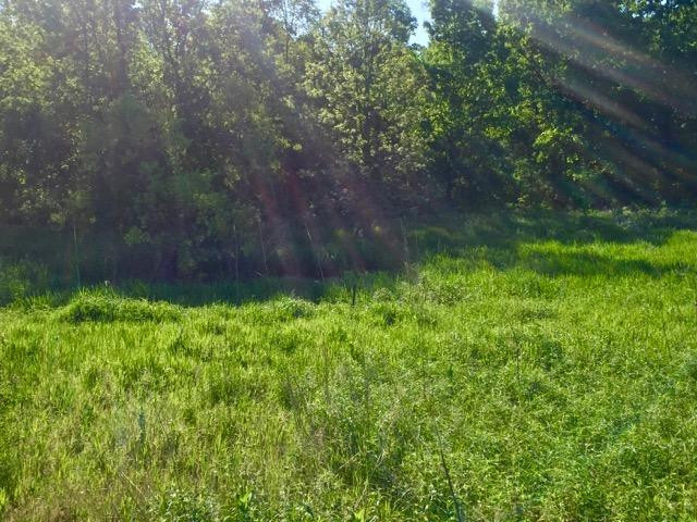 0 Timberhill Parcel N Manchester, MI 48158 - Photo 9 of 14 Photo 9