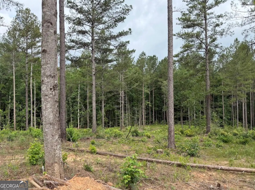 0 Mt Sinai Road, Unit LOT 1 Lula, GA 30554 - Photo 51 of 67