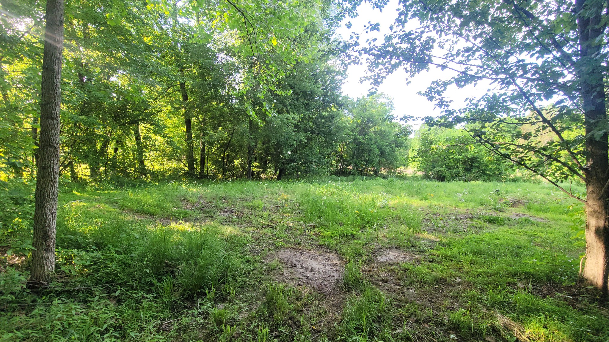 0 Tracy Road Millington, TN 38053 - Photo 11 of 19 Gallery Image 11