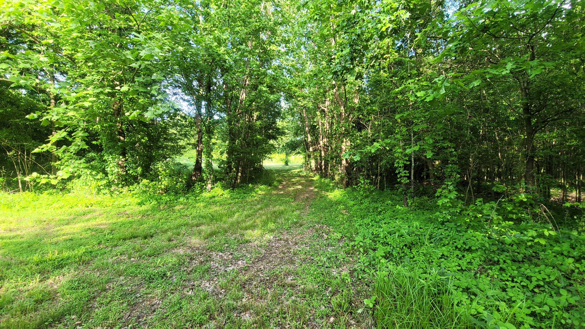0 Tracy Road Millington, TN 38053 - Photo 12 of 19 Gallery Image 12