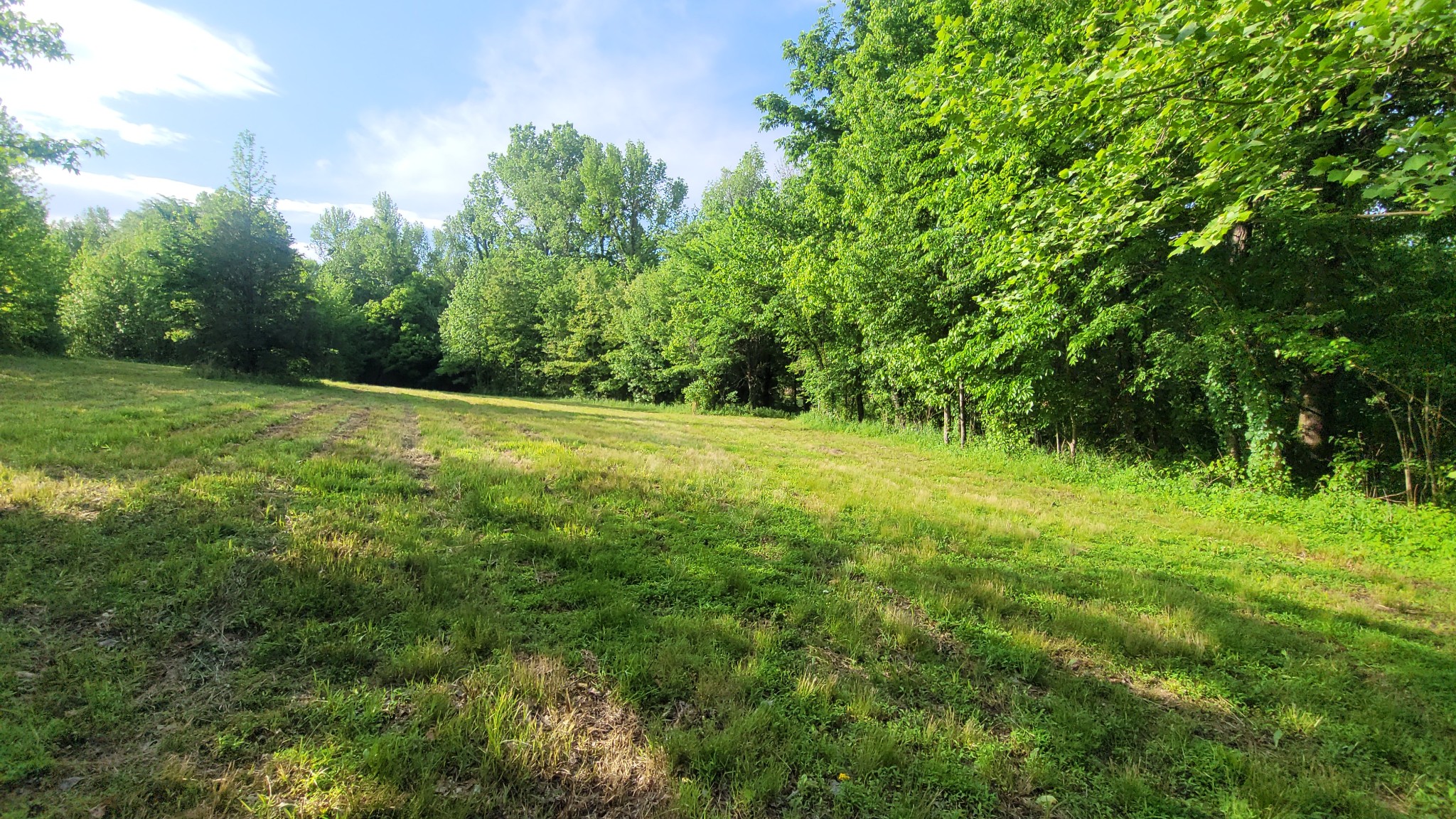 0 Tracy Road Millington, TN 38053 - Photo 13 of 19 Gallery Image 13