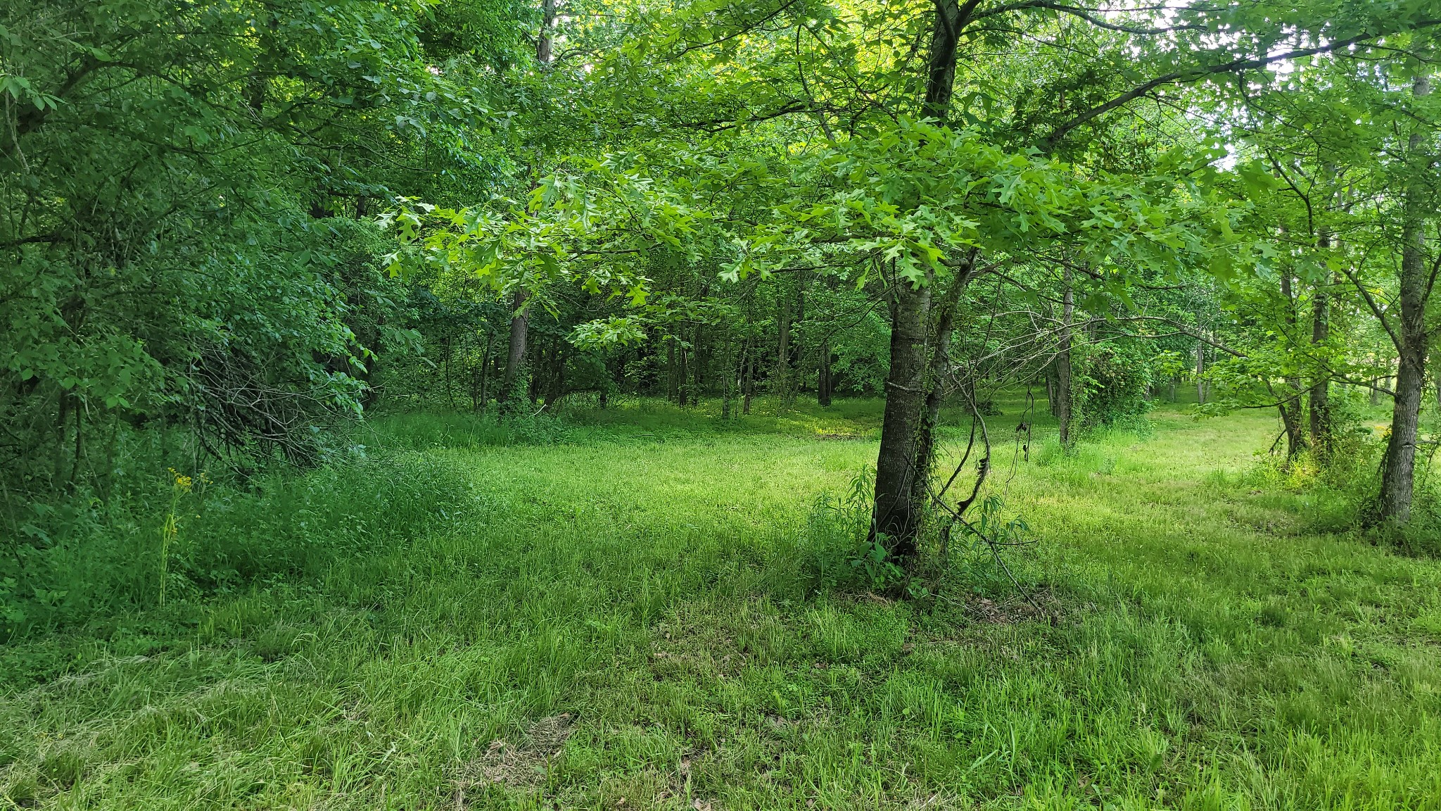 0 Tracy Road Millington, TN 38053 - Photo 14 of 19 Gallery Image 14