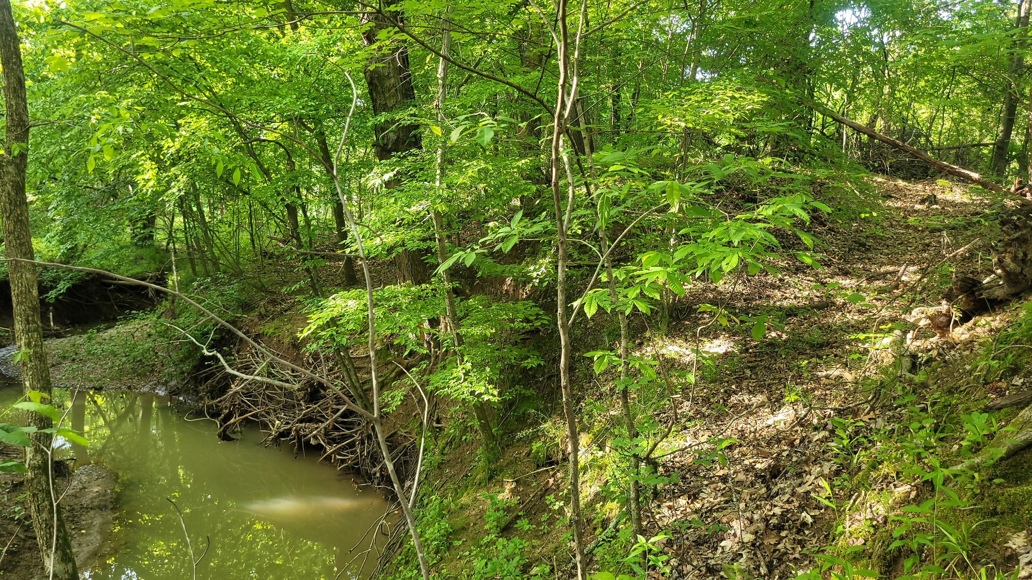 0 Tracy Road Millington, TN 38053 - Photo 7 of 19 Gallery Image 7