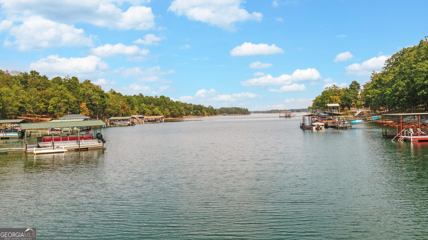 1047 Tranquility Lane Hartwell, GA 30643 - Photo 48 of 60 a view of water with mountain view