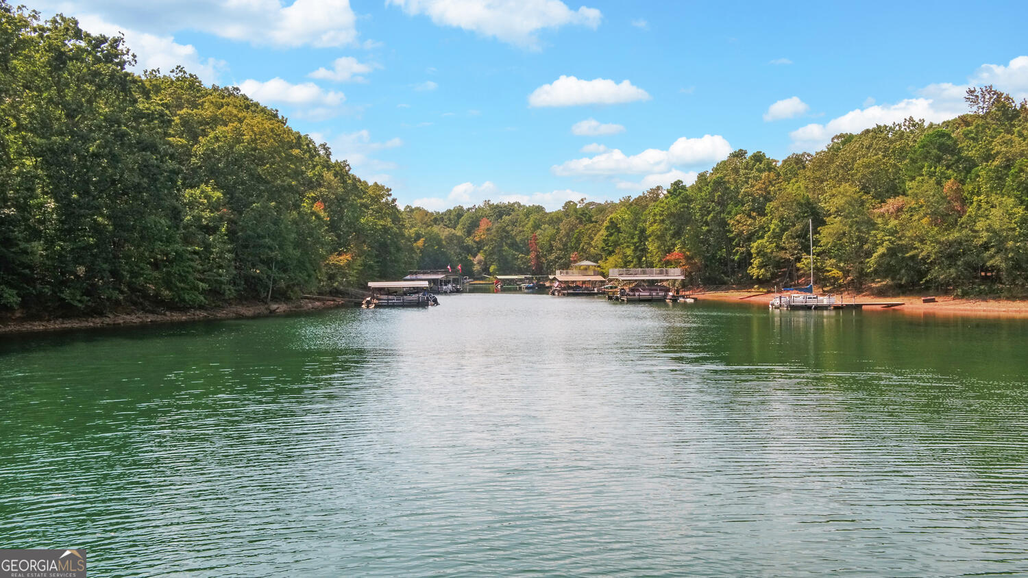 1047 Tranquility Lane Hartwell, GA 30643 - Photo 50 of 60 a view of lake