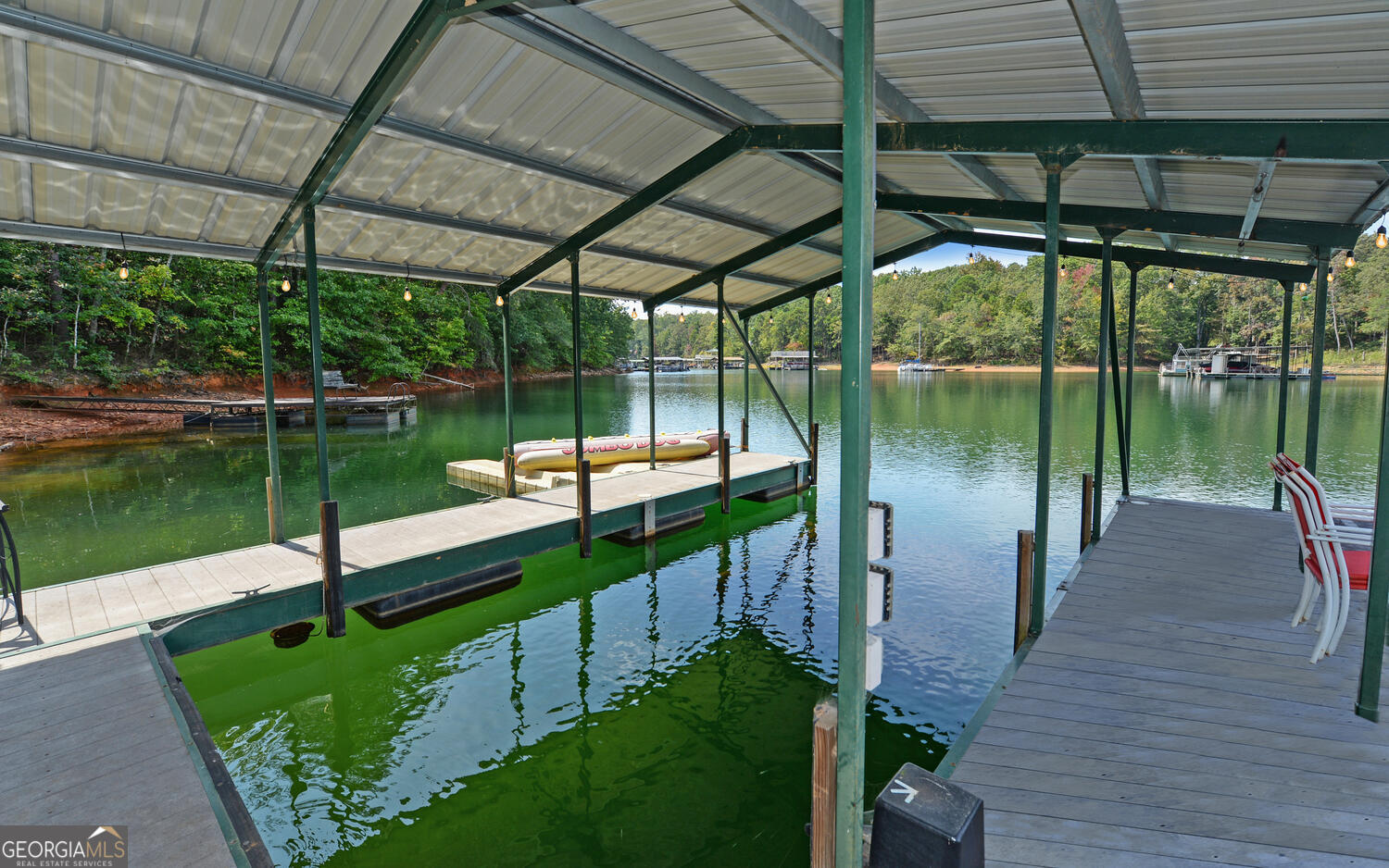 1047 Tranquility Lane Hartwell, GA 30643 - Photo 53 of 60 a view of a lake from a garden
