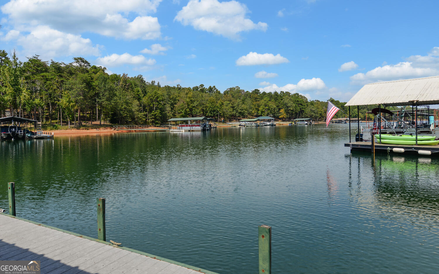 1047 Tranquility Lane Hartwell, GA 30643 - Photo 55 of 60 a view of a lake with houses in the back