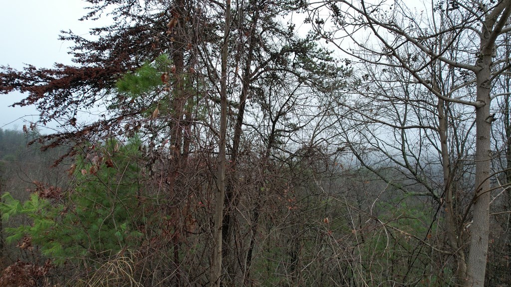 31 Grouse Ridge Lane Sevierville, TN 37862 - Photo 3 of 17