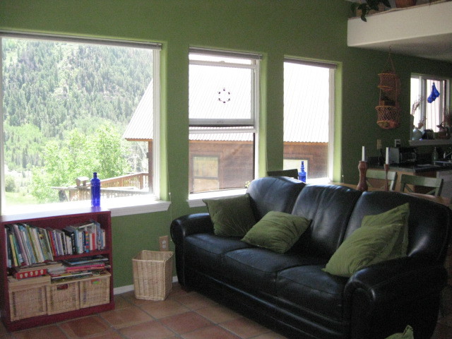 917 Two Rivers Drive Telluride, CO 81435 - Photo 5 of 11 Living Room 2