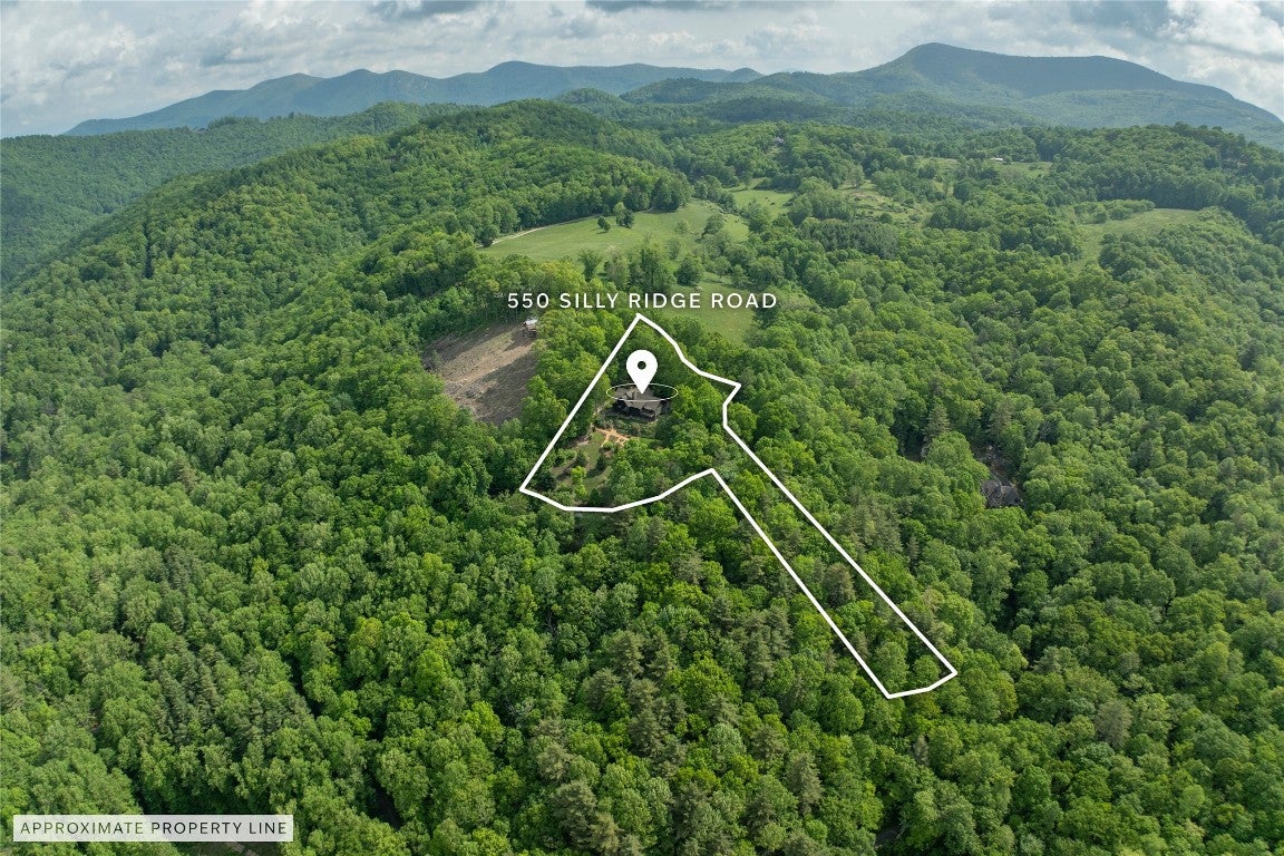 550 Silly Ridge Road Scaly Mountain, NC 28775 - Photo 100 of 100 Gallery Image 100