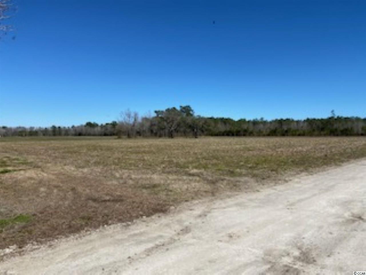 Lot D West G Road Loris, SC 29569 - Photo 4 of 10 Gallery Image 4