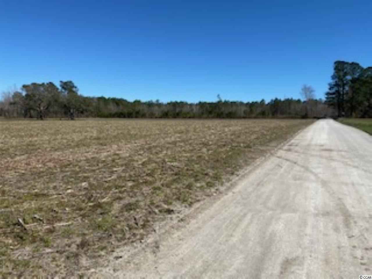 Lot D West G Road Loris, SC 29569 - Photo 5 of 10 Gallery Image 5