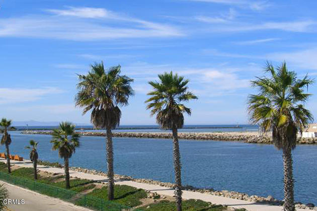 280 Hollywood Boulevard Oxnard, CA 93035 - Photo 28 of 36 Palm Trees Marina Entrance