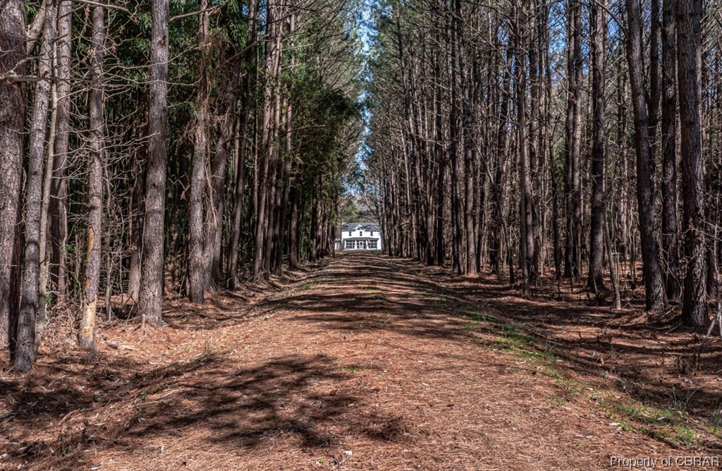 1847 Windmill Point Road White Stone, VA 22578 - Photo 30 of 39 Gallery Image 30