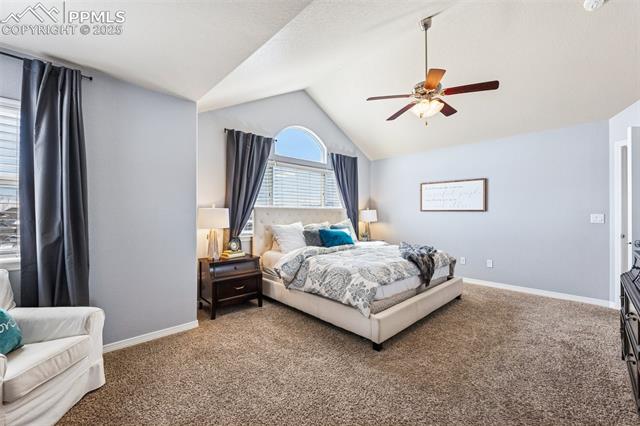 6764 Red Cardinal Loop Colorado Springs, CO 80908 - Photo 19 of 32 Gallery Image 19