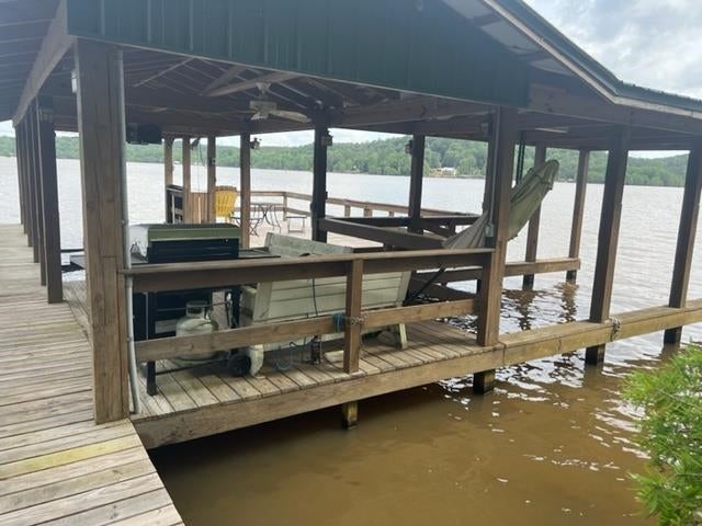 16562 Gantt Lake Road Dozier, AL 36028 - Photo 15 of 42 Gallery Image 15