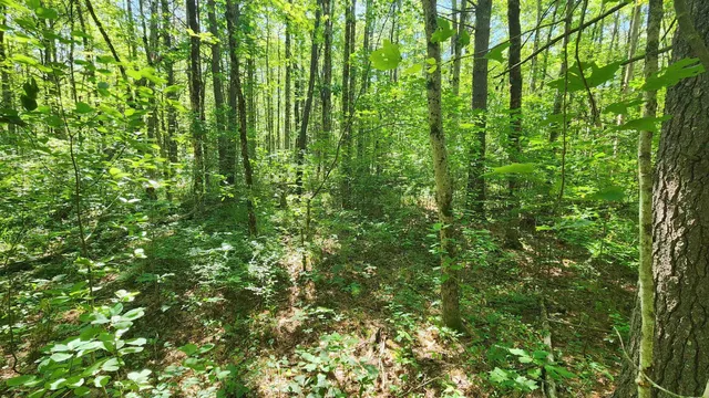 $450,000 | 29 Gary Lane, Exeter, NH 03833