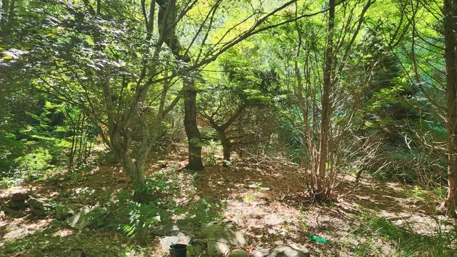 $450,000 | 29 Gary Lane, Exeter, NH 03833