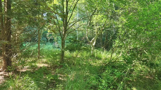 $450,000 | 29 Gary Lane, Exeter, NH 03833