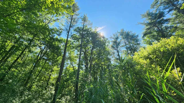 $450,000 | 29 Gary Lane, Exeter, NH 03833