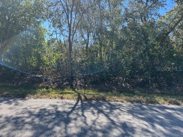 26455 Deer Road Punta Gorda, FL 33955 - Photo 2 of 4