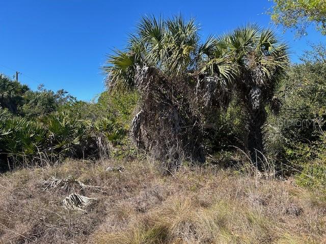 26455 Deer Road Punta Gorda, FL 33955 - Photo 4 of 4