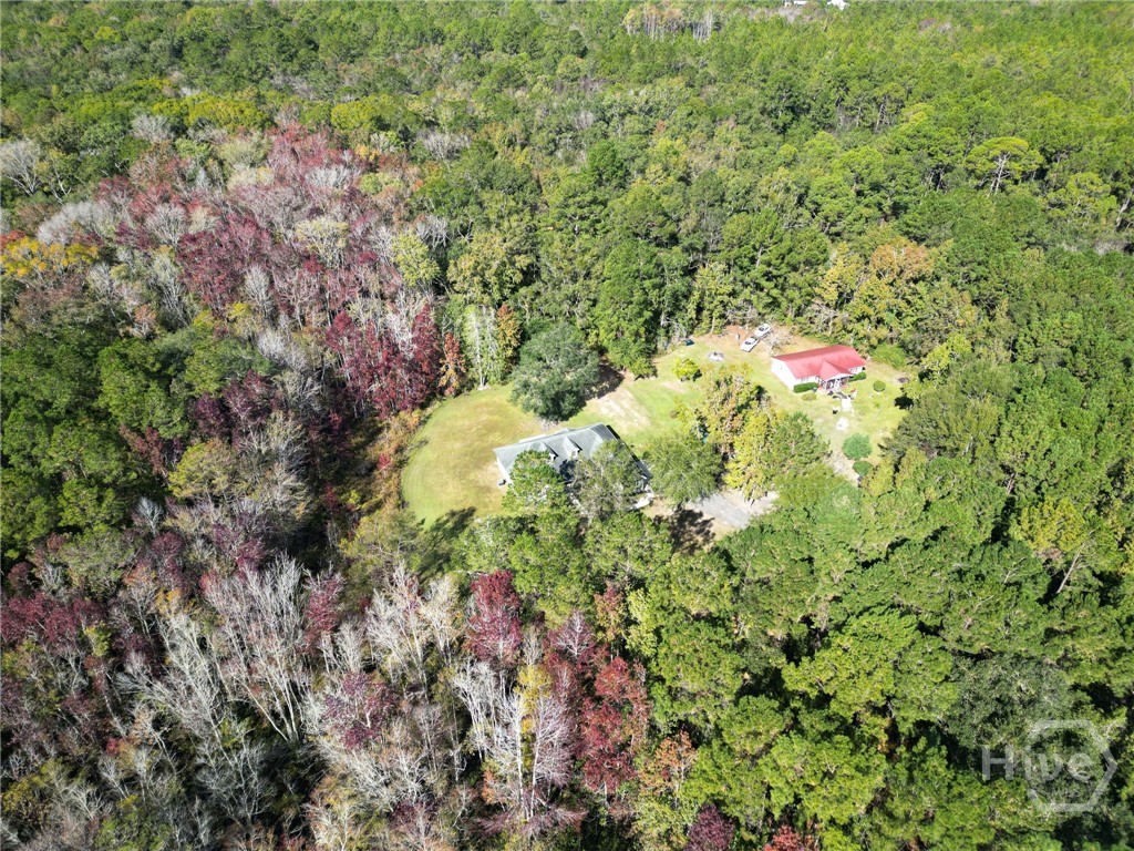 14261 Us Highway Townsend, GA 31331 - Photo 48 of 49