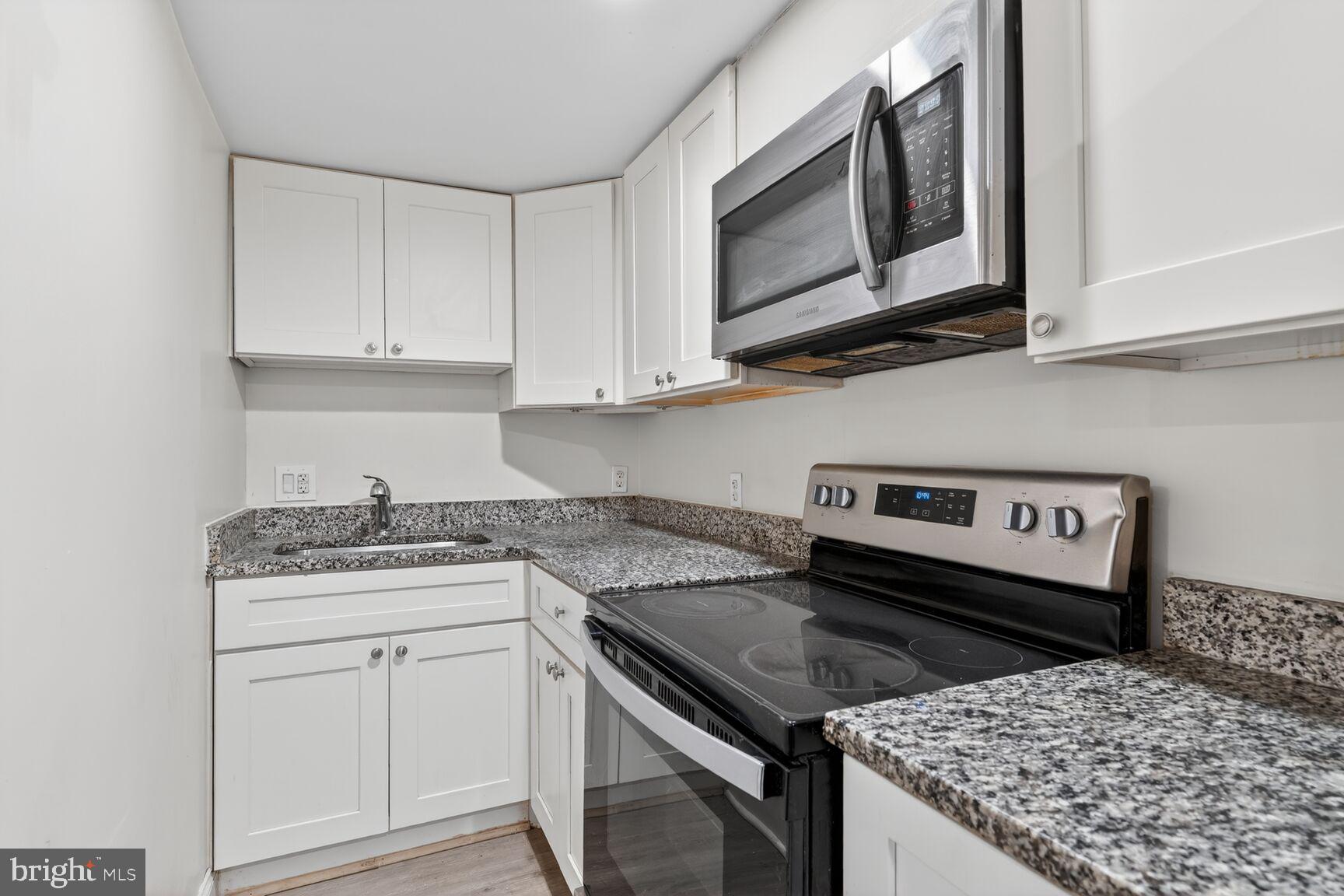113 15th Street Southeast Washington, DC 20003 - Photo 19 of 27 a kitchen with a stove and a microwave