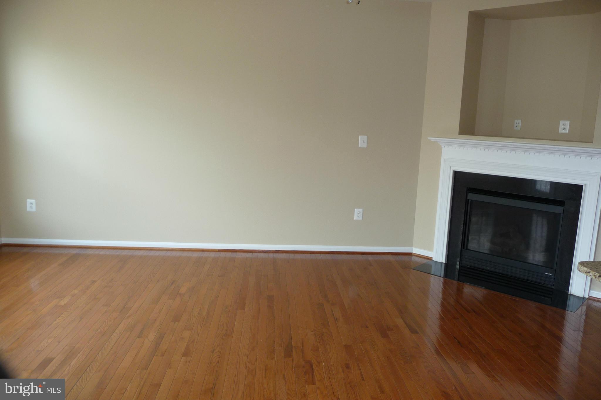 9178 Furey Road Lorton, VA 22079 - Photo 8 of 29 GAS FIREPLACE IN FAMILY ROOM