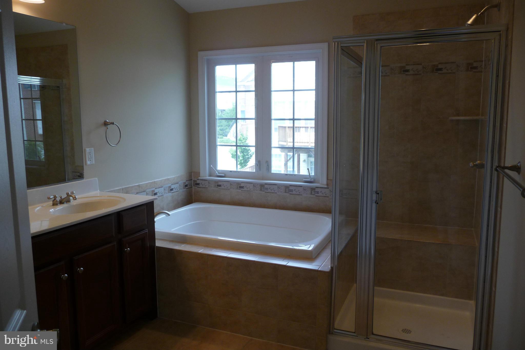 9178 Furey Road Lorton, VA 22079 - Photo 10 of 29 SOAKING TUB AND SEPARATE SHOWER