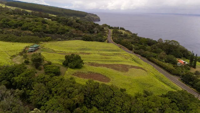 a bathroom with a small yard