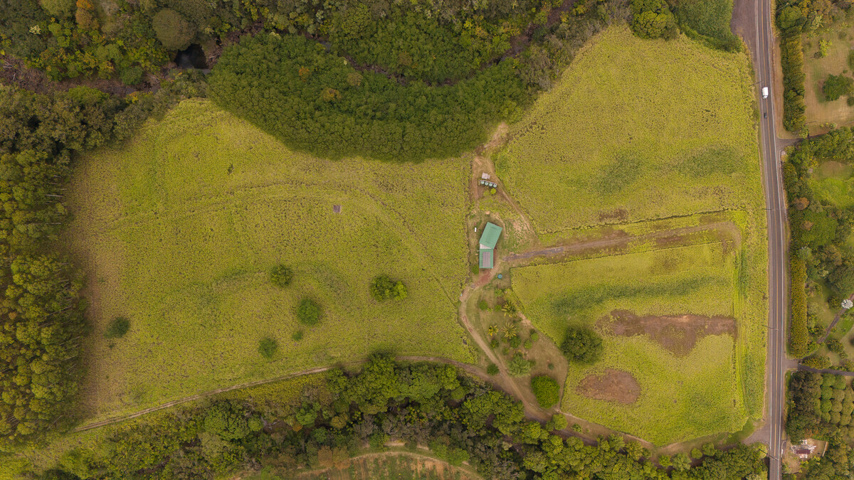 34-1223 Hawaii Belt Road Laupahoehoe, HI 96764 - Photo 28 of 30