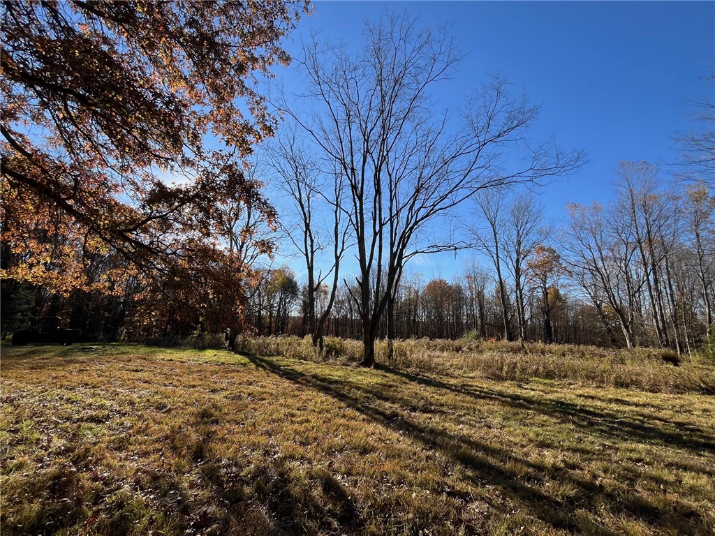 98 Nys Route Franklinville, NY 14737 - Photo 35 of 49 Gallery Image 35