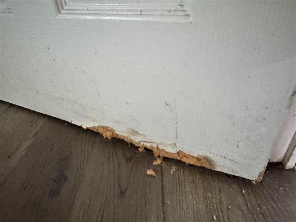 3402 Pearson Road Valrico, FL 33596 - Photo 14 of 24 a close up of a wooden floor