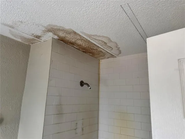 a close view of a shower in a bathroom