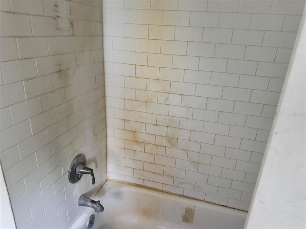 3402 Pearson Road Valrico, FL 33596 - Photo 19 of 24 a bathroom with a bathtub