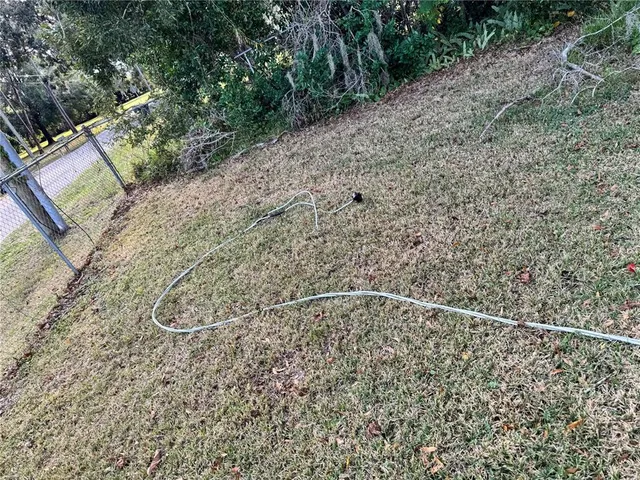 a view of a yard with a plant
