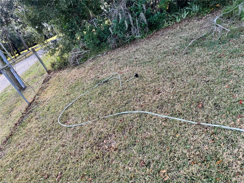 3402 Pearson Road Valrico, FL 33596 - Photo 20 of 24