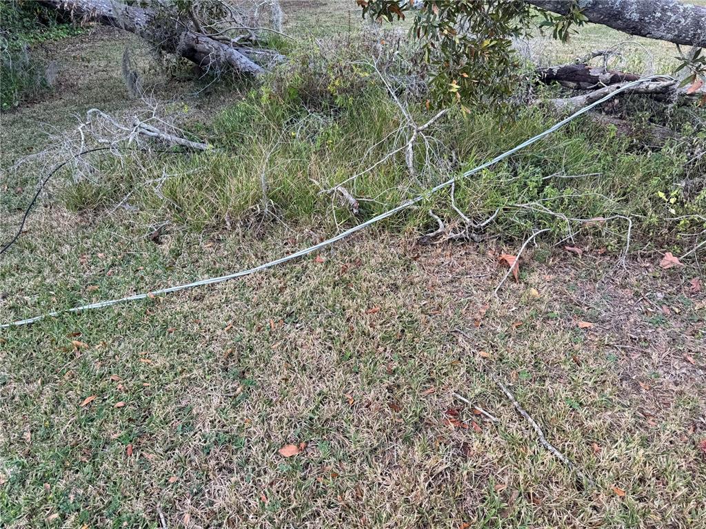 3402 Pearson Road Valrico, FL 33596 - Photo 21 of 24 a view of a yard with a plant