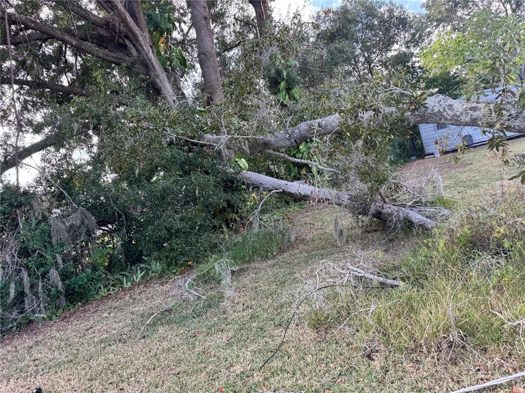 3402 Pearson Road Valrico, FL 33596 - Photo 23 of 24 a backyard of a house with lots of green space
