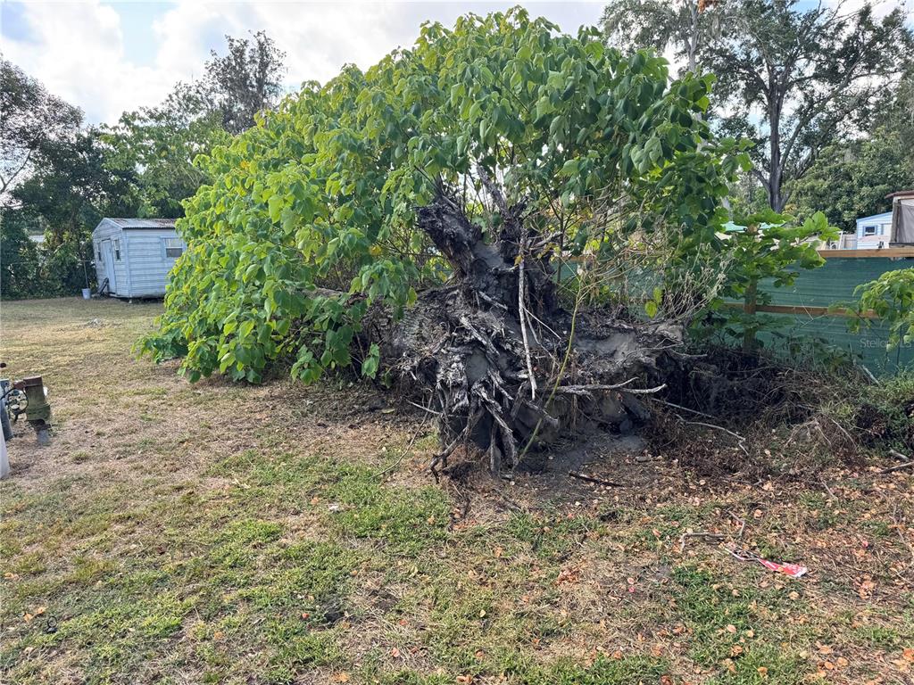 3402 Pearson Road Valrico, FL 33596 - Photo 24 of 24 a backyard of a house with lots of green space