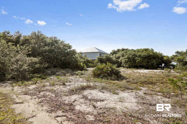 2 Ono Boulevard Orange Beach, AL 36561 - Photo 8 of 10 Rear of Lot Facing Northwest