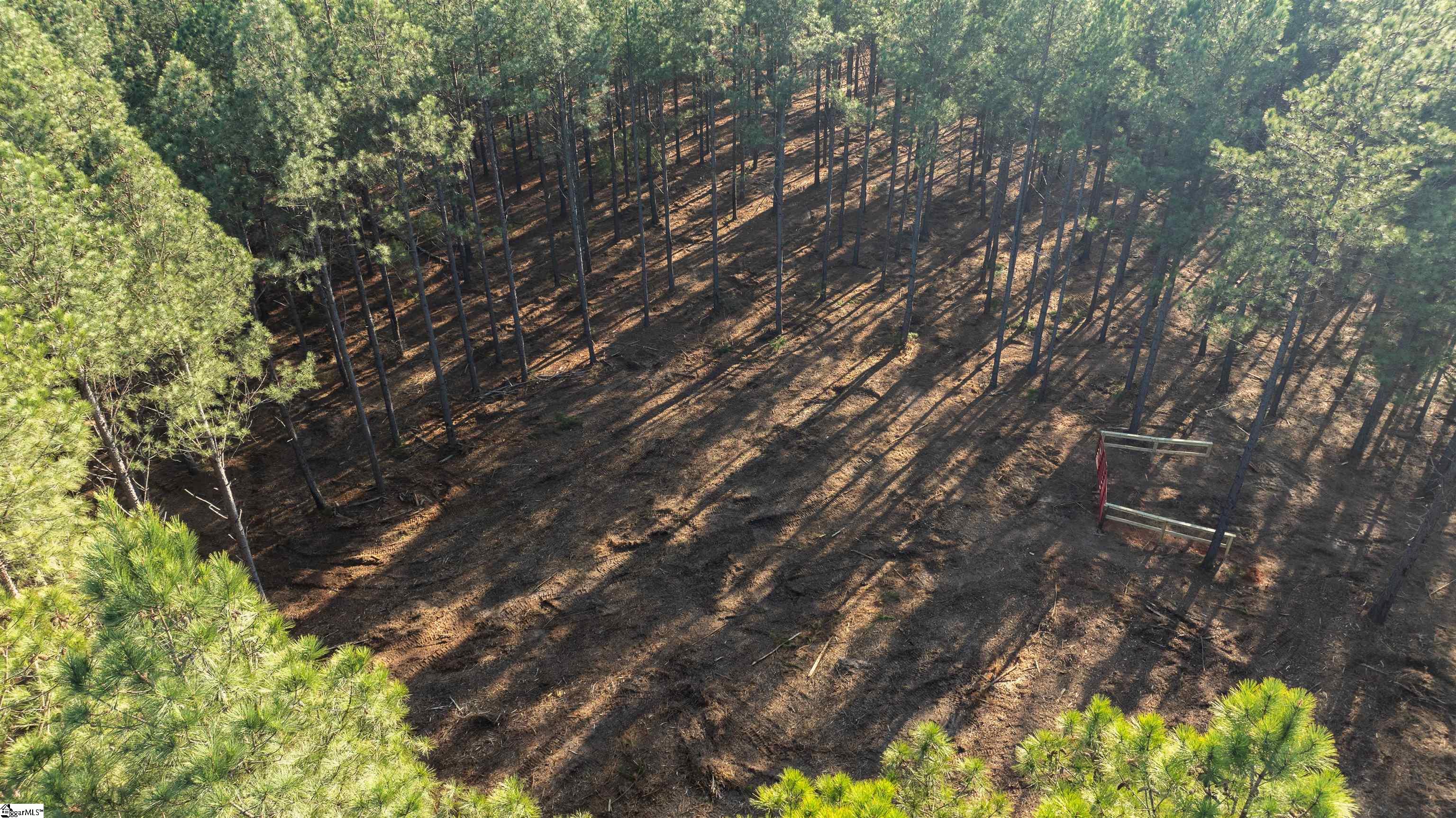 1 Gault Creek Road Jonesville, SC 29353 - Photo 7 of 12
